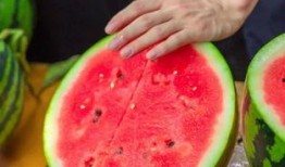 学校瓜在线免费吃瓜,免费瓜果等你来尝