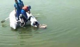 多人爆料溺亡视频播放,多人爆料溺亡视频引发社会关注